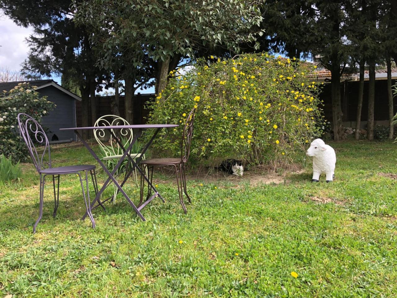 Aux Belles - Adults Only Bed & Breakfast Caux-et-Sauzens