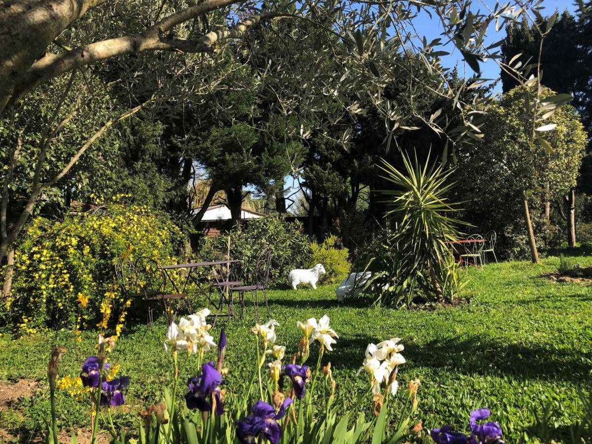 Bed & Breakfast Aux Belles - Adults Only Caux-et-Sauzens